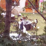 Protect the Boss Behind the Scene - Wedding